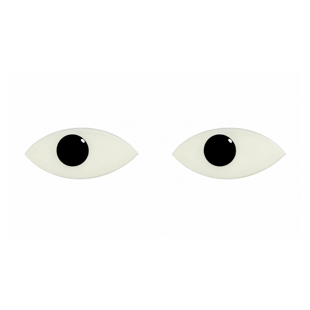 Premium Black & White Idol Eyes Pair for Laddu Gopal
